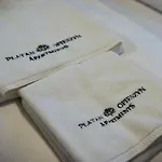 Platan Opieszyn 2 Appartement