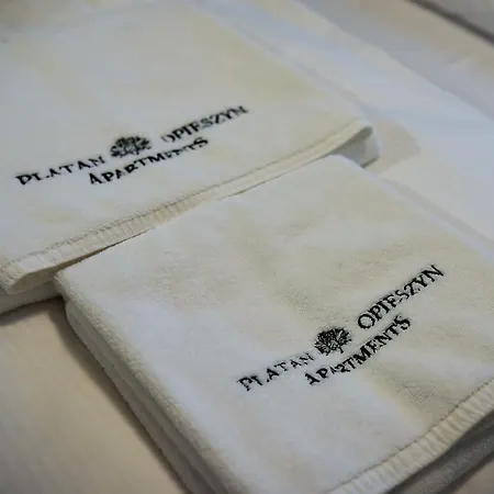 Platan Opieszyn 2 Appartement