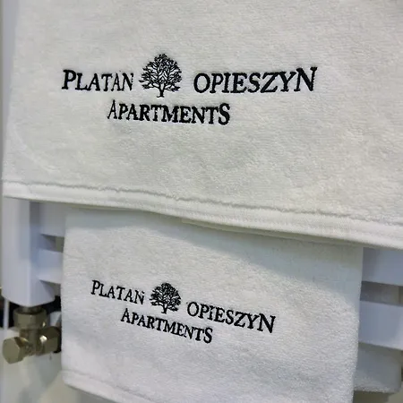 Platan Opieszyn 2 Apartamento *