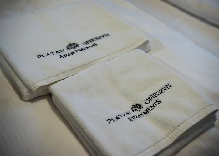 Platan Opieszyn 2 Apartment