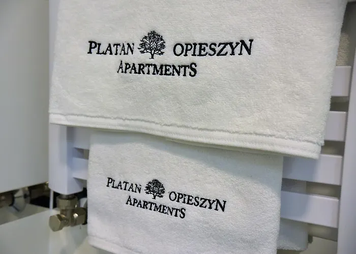 Platan Opieszyn 2 Apartment *