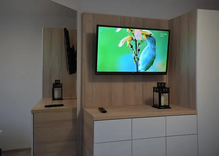 Platan Opieszyn 2 Apartment