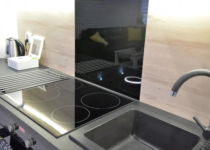 Platan Opieszyn 2 Apartment