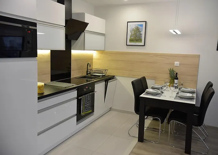 Apartment Platan Opieszyn 2